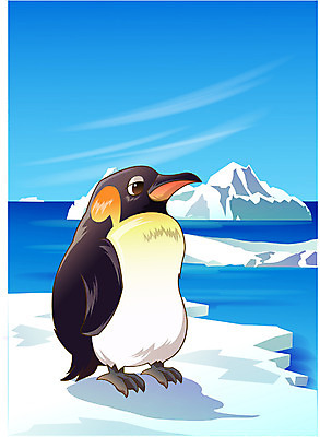 EPS 주간 동물 척추동물 한마리 계절 야생동물 외국문화 겨울 일러스트 조류 동물원 사람없음 야외 남극 극지방 펭귄 빙산 황제펭귄 국내일러스트 자연요소 1 문화 지역 파일형식 벡터