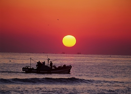포토 JPG 바다 교통 수상교통 자연현상 자연 하늘 어업 풍경 야외 태양 일출 노을 일몰 어선 선박 국내포토 자연요소 산업 교통수단 배_교통 생태계 파일형식