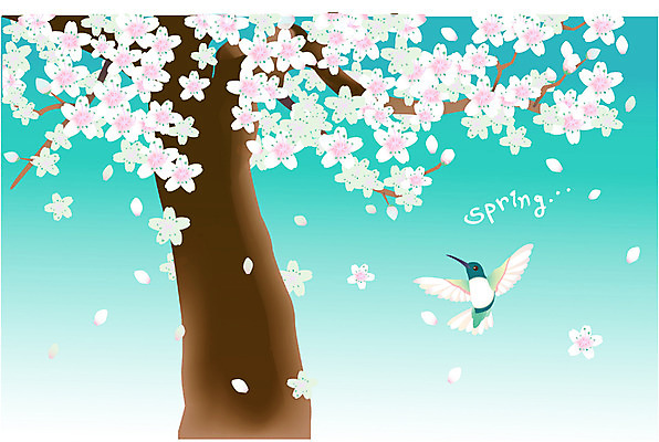EPS 식물 사계절 계절 꽃 백그라운드 일러스트 자연 조류 사람없음 야외 봄 벚꽃 벚나무 벌새 국내일러스트 나무 동물 생태계 파일형식 벡터