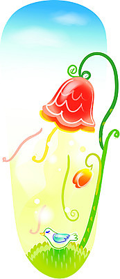 EPS 식물 사계절 계절 꽃 컬러 백그라운드 일러스트 자연 조류 사람없음 빨간색 봄 국내일러스트 동물 생태계 파일형식 벡터