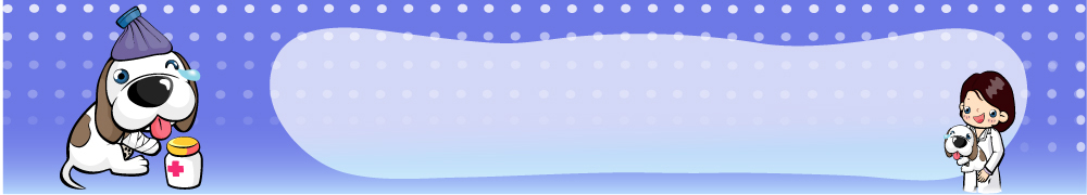 템플릿 배너템플릿 여자 가로배너 의학 병원 한명 사람 20대 성인 치료 여자만 여자한명만 성인여자만 청년만 청년여자만 성인한명만 청년여자한명만 성인여자한명만 성인만 이미지템플릿 1 배너 청년 가로