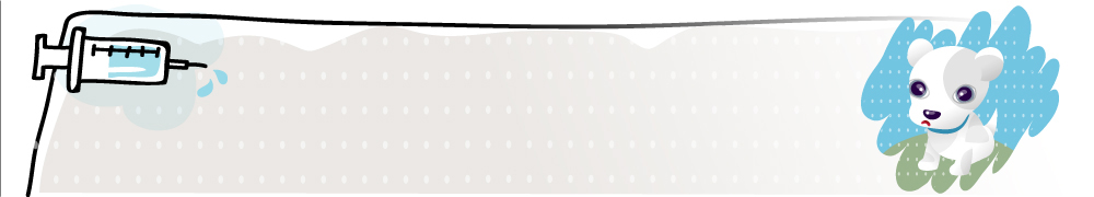 동물 템플릿 척추동물 육지동물 배너템플릿 가로배너 포유류 의학 병원 치료 개 이미지템플릿 배너 가로