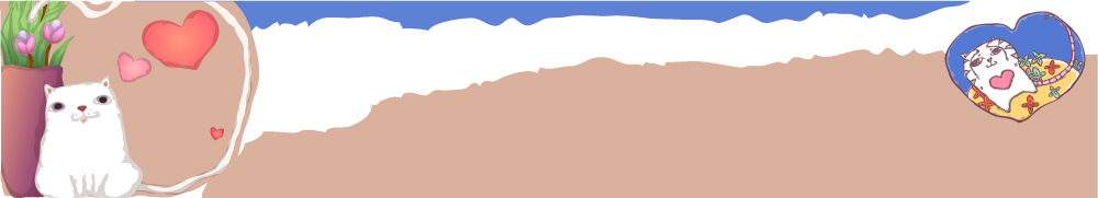 동물 템플릿 척추동물 육지동물 배너템플릿 가로배너 포유류 의학 병원 치료 고양이 동물병원 반려 이미지템플릿 배너 가로 반려동물