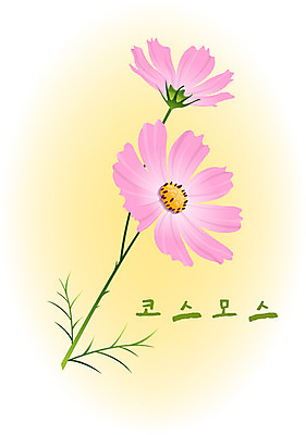 EPS 클립아트 식물 계절 꽃 분홍색 컬러 백그라운드 꽃백그라운드 일러스트 자연 가을꽃 사람없음 가을 코스모스 가을배경 국내일러스트 생태계 파일형식 벡터 가을_계절