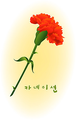 EPS 클립아트 식물 계절 꽃 컬러 백그라운드 꽃백그라운드 일러스트 여름꽃 자연 사람없음 빨간색 여름 어버이날 카네이션 국내일러스트 기념일 생태계 파일형식 벡터 여름_계절