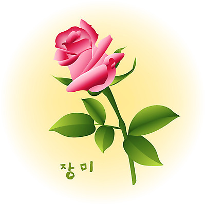 EPS 클립아트 식물 계절 꽃 컬러 백그라운드 꽃백그라운드 일러스트 여름꽃 자연 사람없음 빨간색 여름 장미 국내일러스트 생태계 파일형식 벡터 여름_계절