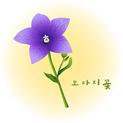 EPS 클립아트 식물 계절 꽃 컬러 백그라운드 꽃백그라운드 일러스트 여름꽃 자연 사람없음 여름 보라색 도라지꽃 도라지 국내일러스트 생태계 파일형식 벡터 여름_계절