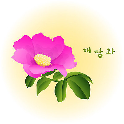 EPS 클립아트 식물 계절 꽃 분홍색 컬러 백그라운드 꽃백그라운드 일러스트 봄꽃 자연 사람없음 봄 해당화 국내일러스트 생태계 파일형식 벡터