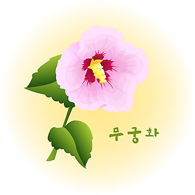 EPS 클립아트 식물 계절 꽃 분홍색 컬러 백그라운드 꽃백그라운드 일러스트 자연 가을꽃 사람없음 가을 무궁화 가을배경 국내일러스트 생태계 파일형식 벡터 가을_계절