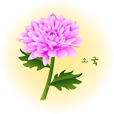 EPS 클립아트 식물 계절 꽃 분홍색 컬러 백그라운드 꽃백그라운드 일러스트 자연 국화 가을꽃 사람없음 가을 소국 수국 가을배경 국내일러스트 생태계 파일형식 벡터 가을_계절