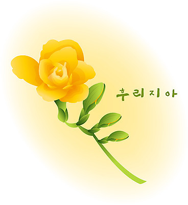 EPS 클립아트 식물 계절 꽃 컬러 백그라운드 꽃백그라운드 일러스트 자연 사람없음 노란색 겨울꽃 프리지어 겨울배경 국내일러스트 겨울 생태계 파일형식 벡터