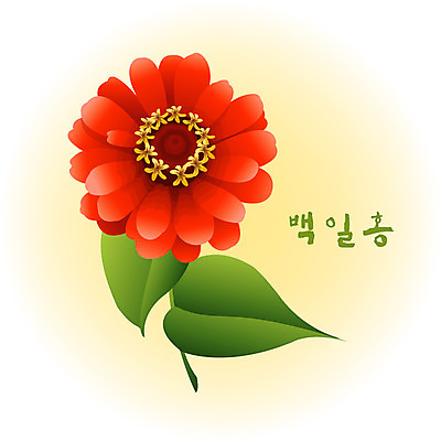 EPS 클립아트 식물 계절 꽃 컬러 백그라운드 꽃백그라운드 일러스트 여름꽃 자연 사람없음 빨간색 여름 백일홍 국내일러스트 생태계 파일형식 벡터 여름_계절