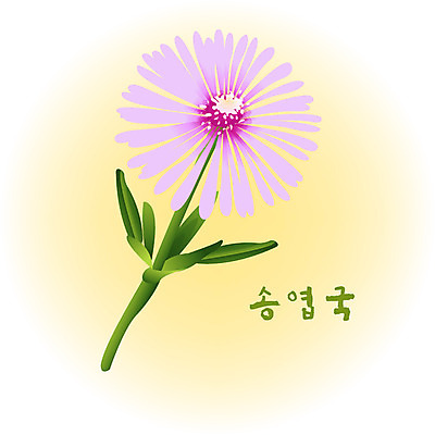 EPS 클립아트 식물 계절 꽃 분홍색 컬러 백그라운드 꽃백그라운드 일러스트 봄꽃 자연 사람없음 봄 사철채송화 송엽국 국내일러스트 생태계 파일형식 벡터