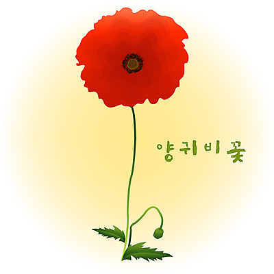 EPS 클립아트 식물 계절 꽃 컬러 백그라운드 꽃백그라운드 일러스트 여름꽃 자연 사람없음 빨간색 여름 양귀비 국내일러스트 생태계 파일형식 벡터 여름_계절