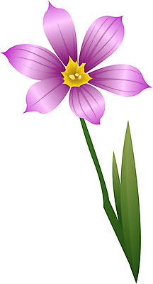 EPS 클립아트 식물 꽃 컬러 일러스트 자연 사람없음 보라색 국내일러스트 생태계 파일형식 벡터