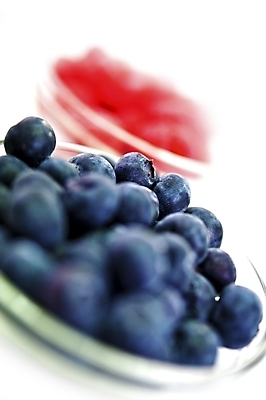 포토 JPG 해외이미지 사람없음 아웃포커스 달콤 소프트포커스 블루베리 산딸기 해외202004 해외포토 과일 촬영기법 맛 파일형식