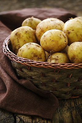 포토 JPG 해외이미지 식물 1 음식 농업 다이어트 채소 자연 새로움 감자 건강 요리 사람없음 목재 농장 갈색 노란색 쌓기 주방 정원 어둠 수확 가을 시골 신선 그룹 싱글 유기농 원예 날것 뿌리 흙더미 내추럴 녹말 밭일 생식 채식주의자 비건 해외202004 해외포토 나무 웰빙 계절 산업 컬러 컨셉 재료 모션 취미 흙 생태계 채식 파일형식 더미