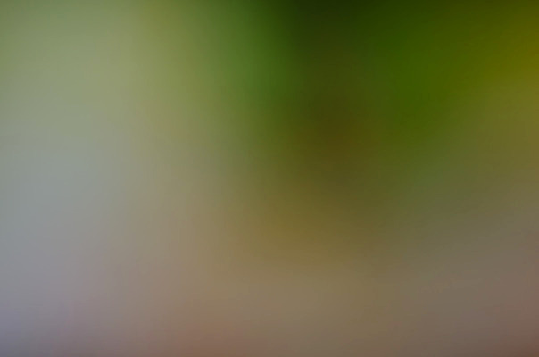 포토 JPG 해외이미지 템플릿 디자인 백그라운드 컨셉 패턴 일러스트 벽지 추상 미술 사람없음 그래픽 장식 빛 디지털 블러 스펙트럼 엘리먼트 해외202004 해외포토 무늬 문화예술 파일형식