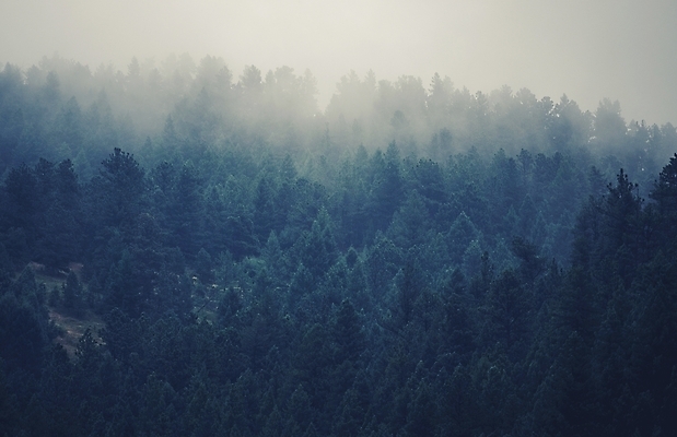 포토 JPG 해외이미지 구름 도로 여행 자연 산 국립공원 풍경 사람없음 가로 미국 안개 황무지 정상 숲 내추럴 뿌연 절정 콜로라도 해외202004 해외포토 자연요소 공원 길 북아메리카 교통시설 날씨 생태계 파일형식