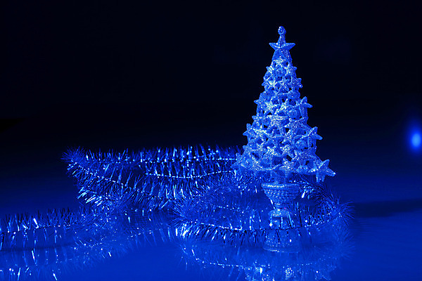 포토 JPG 해외이미지 나무 디자인 배너 계절 별 백그라운드 크리스마스 겨울 일러스트 공 유리 휴가 새해 아파트 기념 선물 미술 사람없음 장식 빨간색 빛 상자 크리스마스트리 장식볼 종 흰색 나뭇가지 축하 소나무 신용카드 황금 12월 활 상록수 전나무 노엘 해외202004 해외포토 자연요소 식물 기념일 컬러 컨셉 재질 문화예술 주택 금융 날짜 파일형식