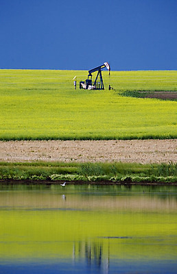 포토 JPG 해외이미지 산업 사람없음 기계 장비 에너지 휘발유 석유 연료 가스 수납 펌프 추출 파이프라인 해외202004 해외포토 파이프_관 파일형식