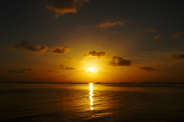 포토 JPG 해외이미지 구름 계절 공원 아시아 여행 오렌지 태국 자연 하늘 아침 날씨 산 파노라마 풍경 사람없음 야외 빛 컬러풀 햇빛 태양 노란색 일출 계곡 일몰 새벽 안개 시골 저녁 땅 언덕 천국 산악지대 강렬 뿌연 절정 해외202004 해외포토 주간 자연요소 공공시설 나라 컬러 과일 촬영기법 노을 야간 생태계 파일형식