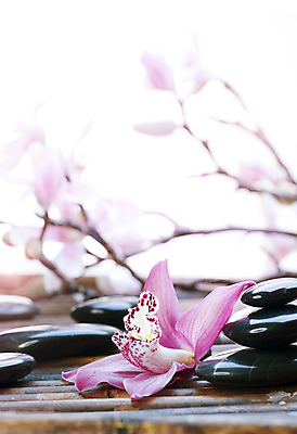 포토 JPG 해외이미지 꽃 백그라운드 컨셉 사람없음 쌓기 검은색 스파 조약돌 흰색 마사지 난초 테라피 해외202004 해외포토 식물 컬러 모션 뷰티 돌_바위 파일형식