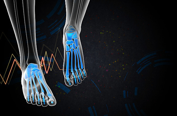 포토 JPG 해외이미지 해부 뼈 골격 건강 사람 사람없음 3D 회색 발가락 발목 양발 해외202004 해외포토 컬러 의학 발 디지털합성 파일형식