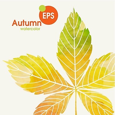 EPS 해외이미지 식물 백그라운드 잎 일러스트 자연 수채화 사람없음 초록색 노란색 가을 밤 해외202004 해외일러스트 계절 컬러 견과류 생태계 파일형식 벡터