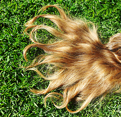 포토 JPG 해외이미지 라이프스타일 헤어스타일 계절 공원 여자 행복 백그라운드 밭 자연 추상 건강 한명 사람 초원 야외 초록색 여름 금발 노란색 유행 봄 자유 신선 황금 내추럴 거짓말 스타일 해외202004 해외포토 1 공공시설 감정 컬러 컨셉 무늬 농업 생활 생태계 파일형식