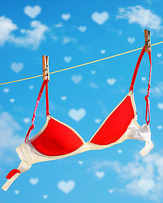 포토 JPG 해외이미지 모양 구름 옷 여자 수영복 분홍색 백그라운드 컨셉 자연 하늘 휴가 수영장 발렌타인데이 선물 사랑 정장 소녀 사람없음 빨간색 여름 파란색 비키니 섹시 유행 낭만 흰색 하트 마음 빨래 속옷 정상 아래 브래지어 심볼 오브젝트 란제리 해외202004 해외포토 자연요소 계절 감정 어린이 컬러 가사 데이이벤트 사람 방향 생태계 위치 파일형식