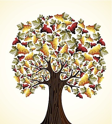 EPS 해외이미지 나무 식물 디자인 계절 산업 음료 백그라운드 컨셉 잎 과일 일러스트 자연 포도 미술 목재 장식 빨간색 초록색 여름 와인 봄 수확 가을 나뭇가지 알코올 화려 제비꽃 심볼 포도밭 포도나무 해외202004 해외일러스트 꽃 컬러 밭 농업 재료 문화예술 주류 과일나무 생태계 파일형식 벡터