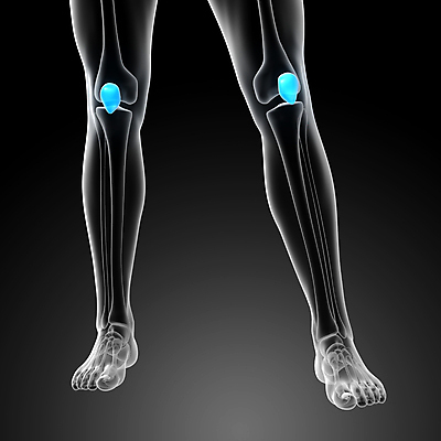 포토 JPG 해외이미지 해부 뼈 사람없음 고통 무릎 외과 양발 연골 해외202004 해외포토 감정 의학 병원 신체부위 파일형식