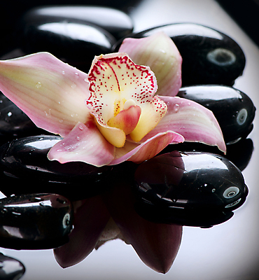 포토 JPG 해외이미지 꽃 분홍색 백그라운드 컨셉 사람없음 물 쌓기 검은색 스파 젖음 조약돌 흰색 마사지 난초 오브젝트 테라피 해외202004 해외포토 자연요소 식물 컬러 모션 뷰티 돌_바위 파일형식