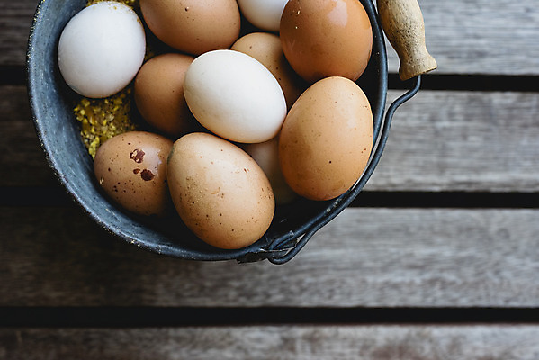 포토 JPG 해외이미지 음식 건강 사람없음 갈색 계란 신선 상품 양동이 유기농 날것 내추럴 해외202004 해외포토 웰빙 컬러 알 파일형식