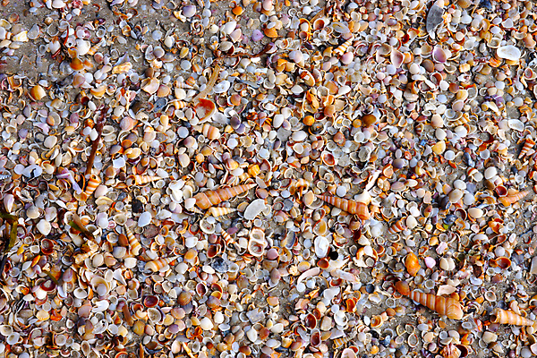 포토 JPG 해외이미지 나무 구름 아시아 모래 파도 바다 섬 여행 태국 자연 하늘 휴가 산 풍경 사람없음 초록색 물 여름 파란색 껍질 바위 만 언덕 석호 이국적 파라다이스 해외202004 해외포토 자연요소 식물 계절 나라 컬러 돌_바위 생태계 파일형식