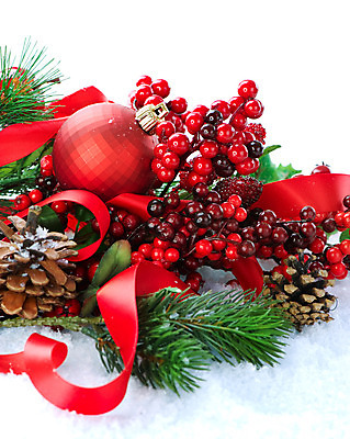 포토 JPG 해외이미지 나무 전통 디자인 열매 리본 조각 백그라운드 크리스마스 겨울 전구 텍스트 공 자연 휴가 새로움 선물 사람없음 장식 빨간색 초록색 우주 장식볼 흰색 나뭇가지 축하 소나무 신용카드 숲 연도 서리 상록수 전나무 원뿔 내추럴 고립 엘리먼트 국경 해외202004 해외포토 도형 식물 계절 기념일 컬러 컨셉 금융 생태계 파일형식