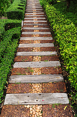 포토 JPG 해외이미지 건축물 여행 자연 거리 사람없음 목재 초록색 걷기 바위 오솔길 해외202004 해외포토 나무 건축 길 컬러 재료 모션 돌_바위 생태계 파일형식