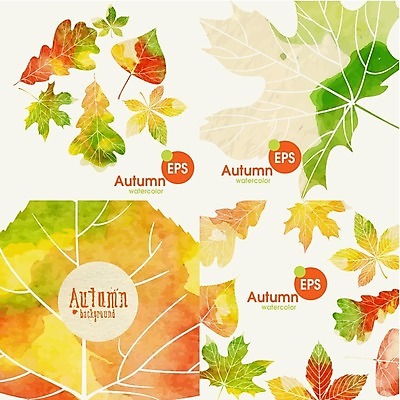 EPS 해외이미지 식물 백그라운드 단풍 잎 일러스트 자연 수채화 사람없음 빨간색 초록색 노란색 가을 밤 해외202004 해외일러스트 계절 컬러 견과류 생태계 파일형식 벡터