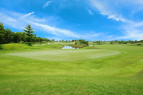 포토 JPG 해외이미지 나무 구름 스포츠 밭 골프 골프장 자연 하늘 풍경 잔디 초원 사람없음 야외 초록색 여름 깃발 구멍 땅 해외202004 해외포토 자연요소 식물 계절 컬러 농업 스포츠시설 구기 생태계 파일형식