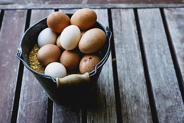 포토 JPG 해외이미지 음식 건강 사람없음 갈색 계란 신선 상품 양동이 유기농 날것 내추럴 해외202004 해외포토 웰빙 컬러 알 파일형식