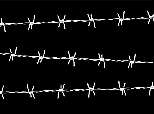 EPS 해외이미지 선 컨셉 일러스트 손가락 사람 울타리 평화 희망 블록 꿈 자유 흰색 잡기 자르기 탈출 교도소 감옥 심볼 사인 비둘기 전쟁 철사 철조망 무료 신앙심 제어 죄수 해외202004 해외일러스트 손 감정 컬러 모션 조류 담장 파일형식 벡터