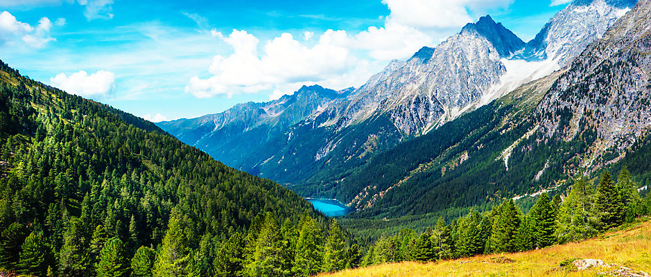 포토 JPG 해외이미지 나무 길 자국 자연 휴가 휴식 산 파노라마 풍경 초원 사람없음 야외 목재 초록색 환경 침묵 이탈리아 산책 트래킹 하이킹 낭만 숲 장면 내추럴 해외202004 해외포토 식물 유럽 컬러 컨셉 재료 레저 촬영기법 소리 생태계 파일형식