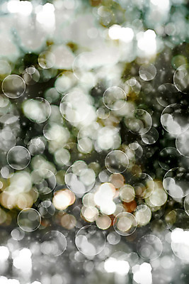 포토 JPG 해외이미지 템플릿 디자인 계절 백그라운드 컨셉 겨울 패턴 자연 벽지 추상 풍경 사람없음 야외 아웃포커스 초록색 여름 파란색 빛 컬러풀 햇빛 우주 환경 맑음 봄 활발 흰색 신선 점 소프트포커스 에코 보케 부드러움 빛망울 내추럴 블러 생태학 카피스페이스 효과 해외202004 해외포토 교육 컬러 무늬 날씨 촬영기법 태양 공백 감각 생태계 파일형식