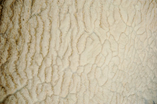 포토 JPG 해외이미지 물결 음료 파도 바다 백그라운드 이동 패턴 모션 자연 표면 날씨 추상 사람없음 야외 물 파란색 수중 힘 목욕 거품 젖음 추위 흰색 신선 거친 액체 떨어짐 빨래 매끈함 시원함 속도 질감 부드러움 비누 샴푸 내추럴 깊이 볼록 샤워실 해외202004 해외포토 자연요소 컬러 컨셉 가사 무늬 위생용품 청결 감각 생태계 샤워시설 파일형식