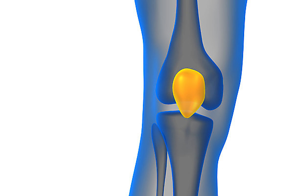 포토 JPG 해외이미지 해부 뼈 엑스레이 사람없음 고통 무릎 외과 양발 연골 증상 해외202004 해외포토 감정 의학 병원 신체부위 파일형식