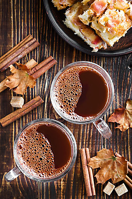 포토 JPG 해외이미지 커피 음료 음식 백그라운드 겨울 유리 탁자 디저트 따뜻함 사람없음 컵 갈색 쿠키 케이크 초콜릿 거품 가을 뜨거움 액체 달콤 코코아 카카오 맛있는 해외202004 해외포토 식기 계절 컬러 가구 재질 맛 파일형식