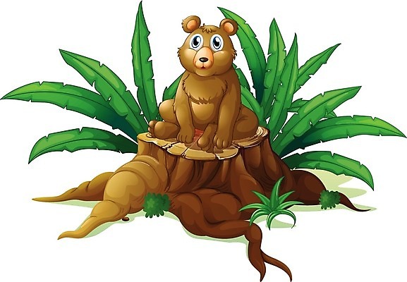 EPS 해외이미지 나무 식물 동물 백그라운드 잎 일러스트 곰 포유류 자연 선물 앉기 야외 목재 그래픽 초록색 갈색 흰색 잡초 숲 큼 자르기 그림 통나무 뿌리 자원 거인 내추럴 고립 벌목 불법 수목 옛날 개조 해외202004 해외일러스트 컬러 재료 모션 범죄 크기 생태계 파일형식 벡터