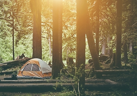 포토 JPG 해외이미지 나무 라이프스타일 여행 자연 텐트 사람없음 야외 가로 소풍 캠핑 탐험 잠 숲 탈출 주말 탐사 발견 오지 생존 해외202004 해외포토 식물 컨셉 레저 캠핑도구 생활 야외활동 생태계 파일형식