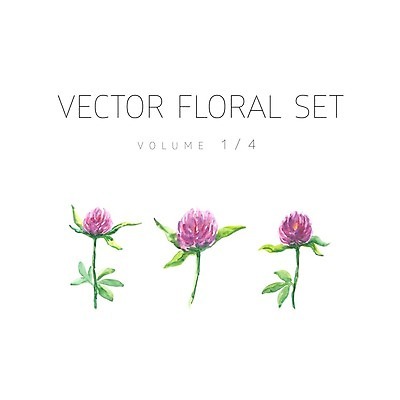 EPS 해외이미지 식물 디자인 계절 꽃잎 꽃 분홍색 꽃다발 결혼 백그라운드 꽃무늬 패턴 일러스트 자연 벽지 수채화 그래픽 초록색 여름 세트 보라색 봄 수확 흰색 나뭇가지 인사 붓 신용카드 생일 클로버 인쇄 허브 그림 질감 초대 손그림 내추럴 고립 엘리먼트 스타일 해외202004 해외일러스트 나무 기념일 컬러 무늬 농업 이벤트 금융 예절 생태계 파일형식 벡터